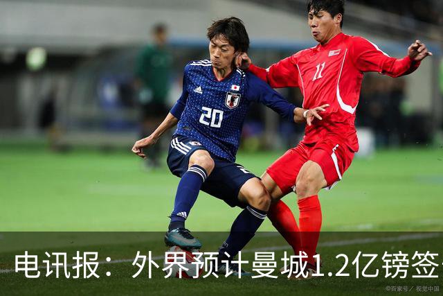 电讯报：外界预计曼城1.2亿镑签安德森 担忧这一价格引发连锁反应